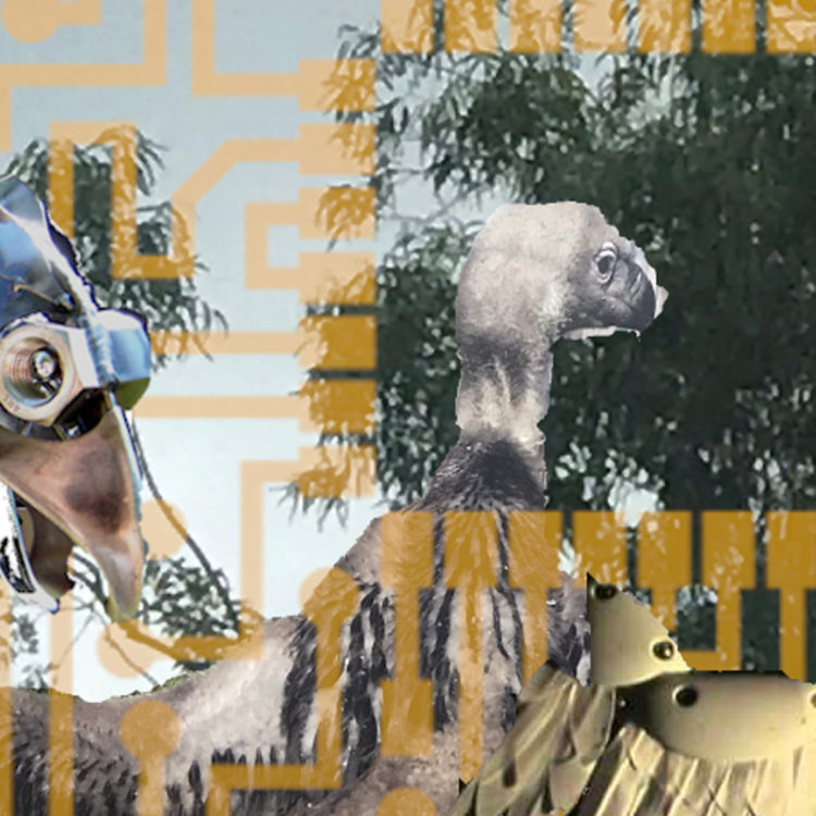 A vulture assembled from metal parts and scraps appears at the left; one bolt eye turns out toward the viewer. At the focal point of the image is a second vulture framed by golden circuitry. This vulture is turned away from the viewer, and one of its wings is a mechanical prosthetic.