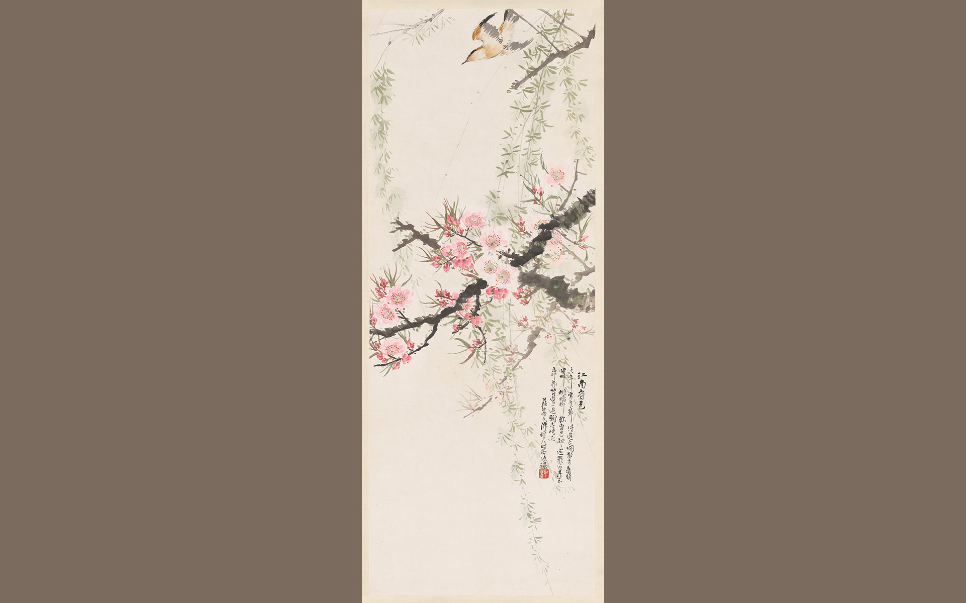 Painted vertical hanging scroll on cream colored paper with a bird descending onto branches full of pink blossoms.